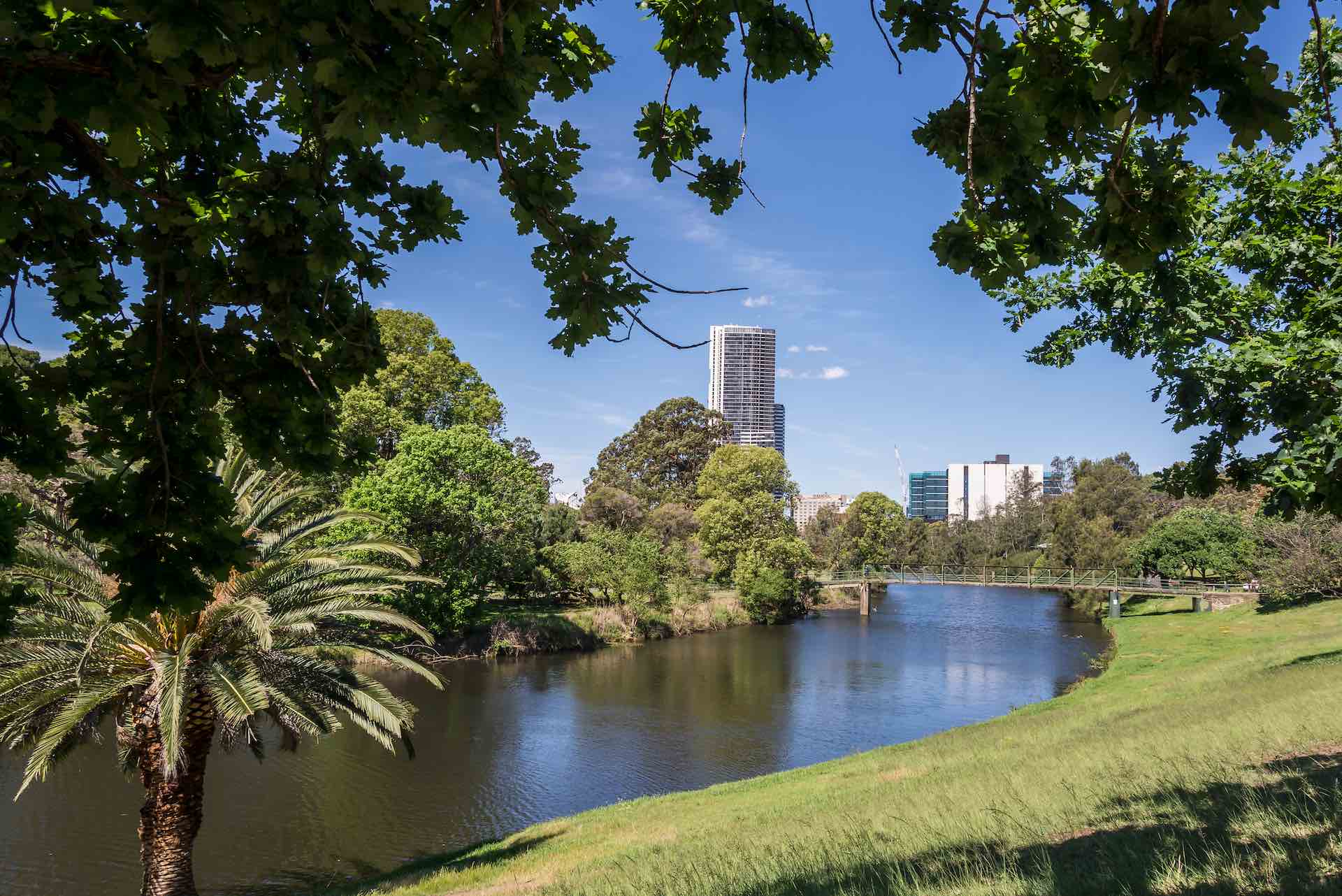 
        parramatta    